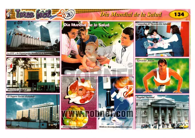 Dia Mundial De La Salud